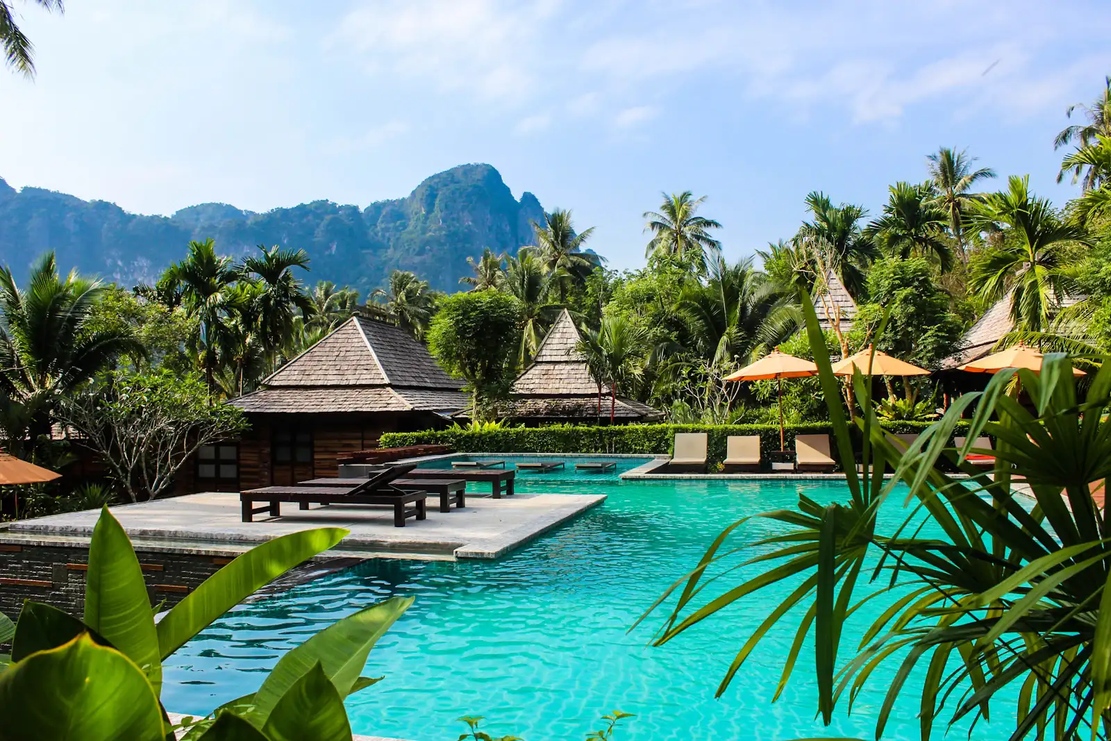 Tropical villa pool surrounded by palms