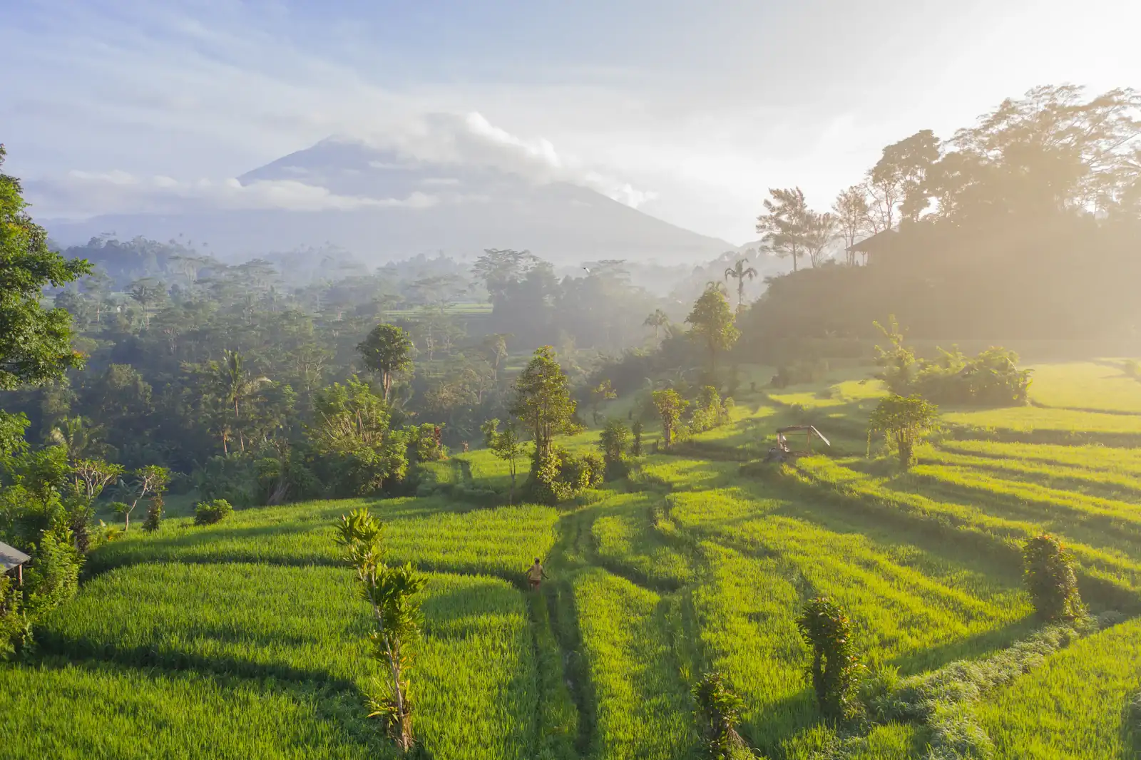 Misty rice terraces with a volcano behind