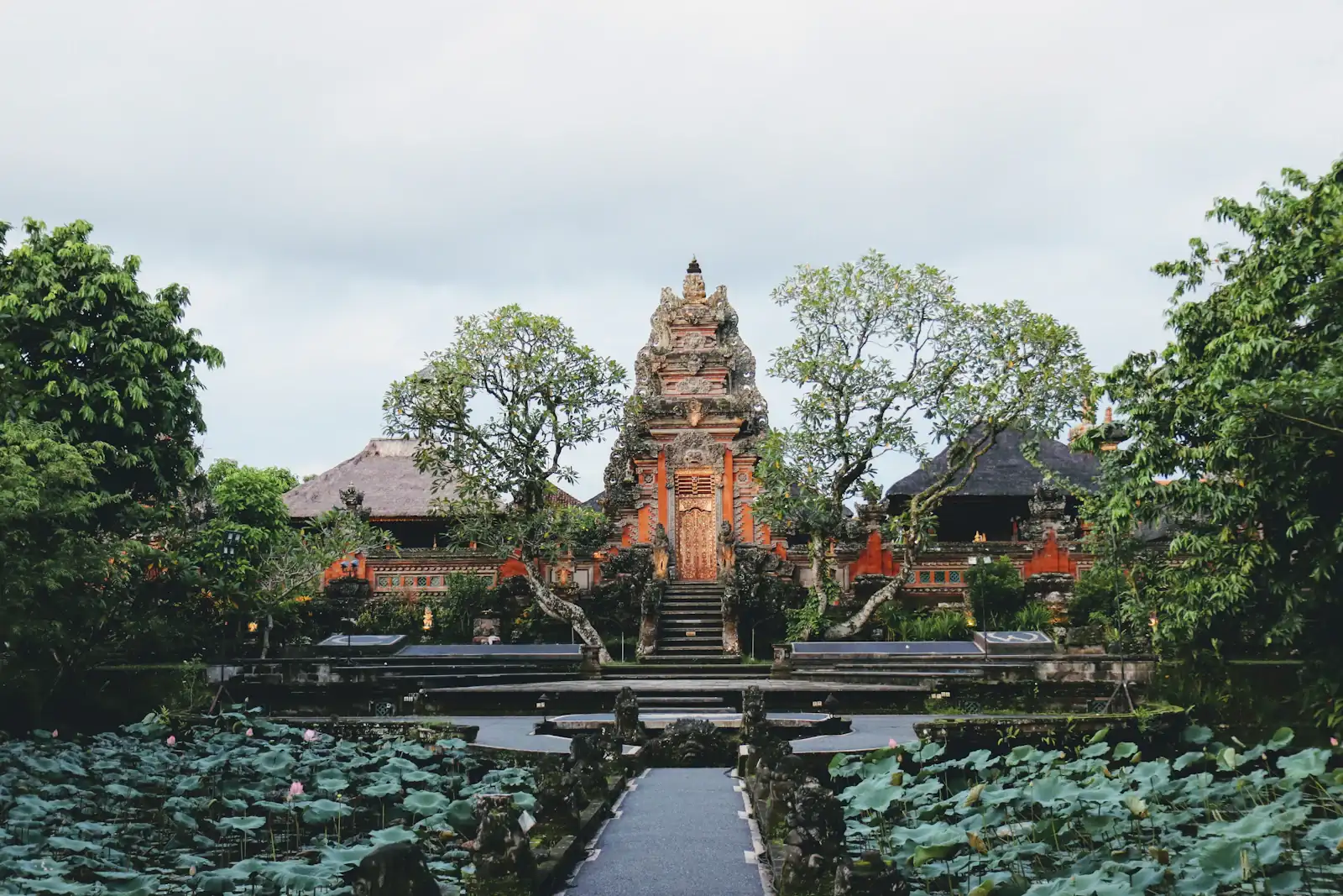 Lotus pond at an Ubud water palace